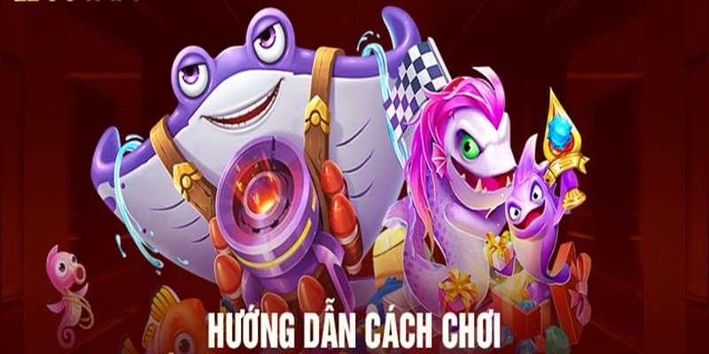 Hướng dẫn người dùng tham gia sân chơi